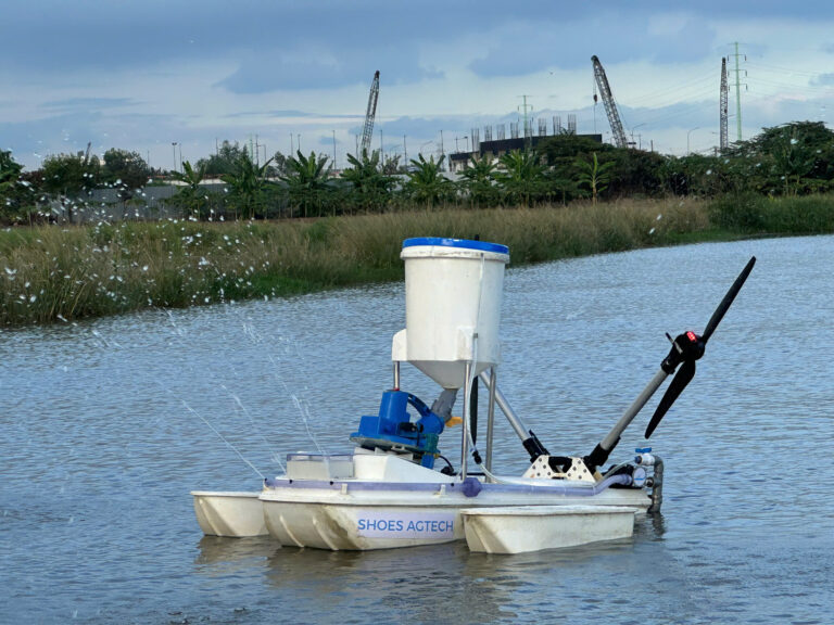 14628428130015222264